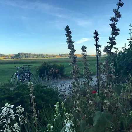 Daire Fischersfritze *